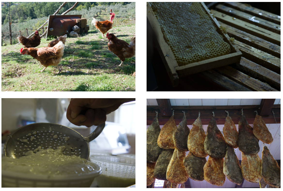 PROBABILMENTE I MIGLIORI INGREDIENTI……