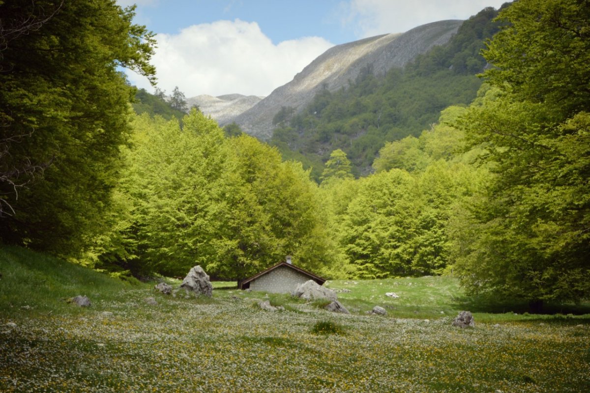 A mountain guide's guide to the mountain